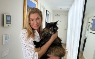 Долгое путешествие кошки между Новой Зеландией и Австралией