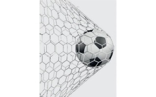 Club is looking for a new professional