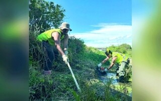 Маорийские сообщества борются с изменением климата в Новой Зеландии